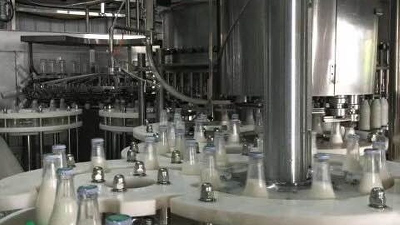 食品加工设备型号选择：如何根据实际需求精准匹配