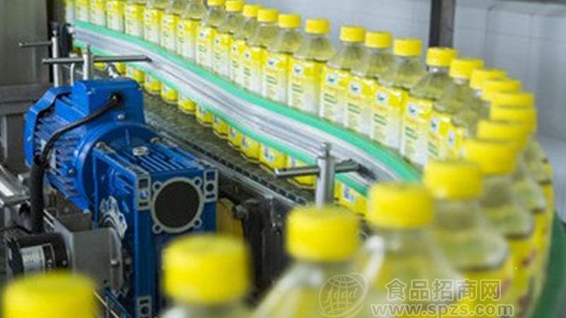 食品输送机价格之谜：揭秘成本构成与选购关键