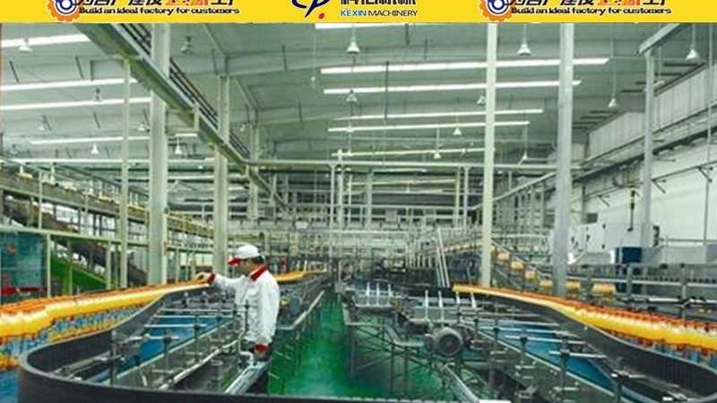 油炸机链条油炸与网带油炸：技术差异与适用场景分析